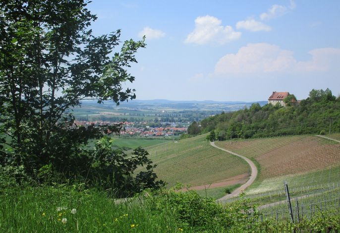 Bild 8