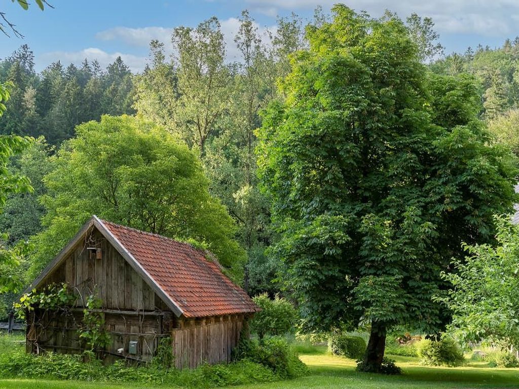 Garten mit Stadel.jpg