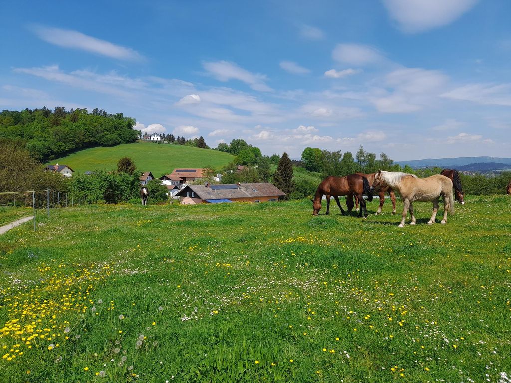 Gästehaus Hagenberger die Naturfreundepension
