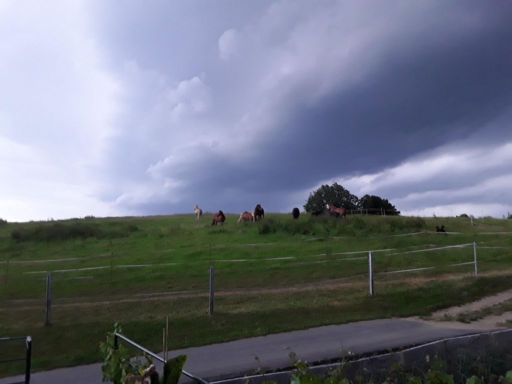 Gästehaus Hagenberger die Naturfreundepension