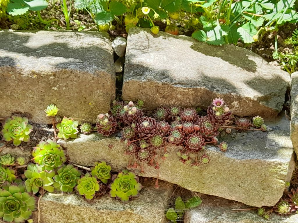 Gästehaus Hagenberger die Naturfreundepension