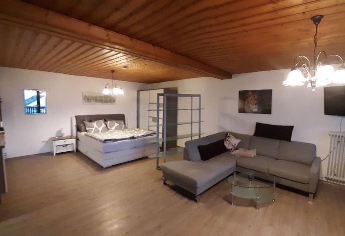 Großes Ferienappartement OG mit Balkon