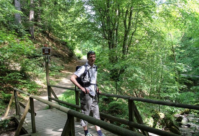 Bild 13