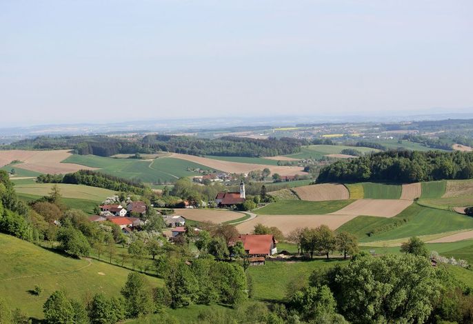Bild 39