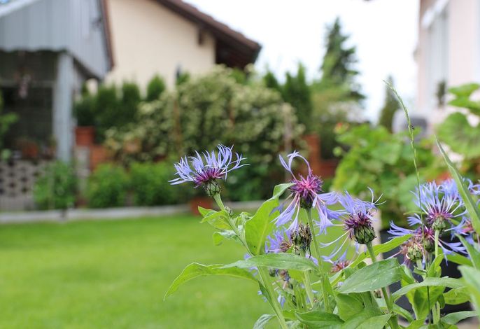 Bild 13