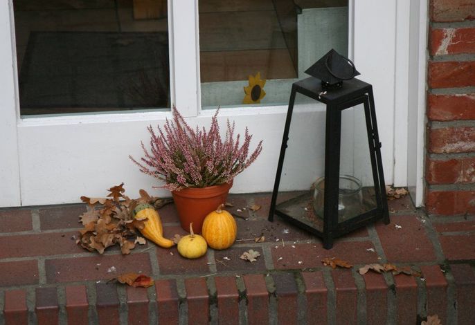 Bild 21