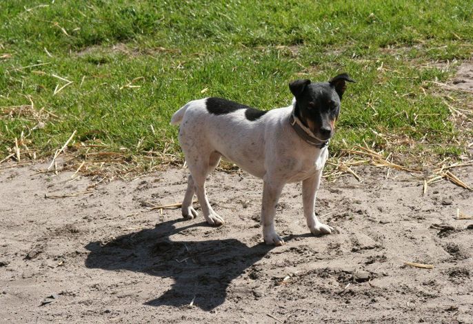 Bild 18