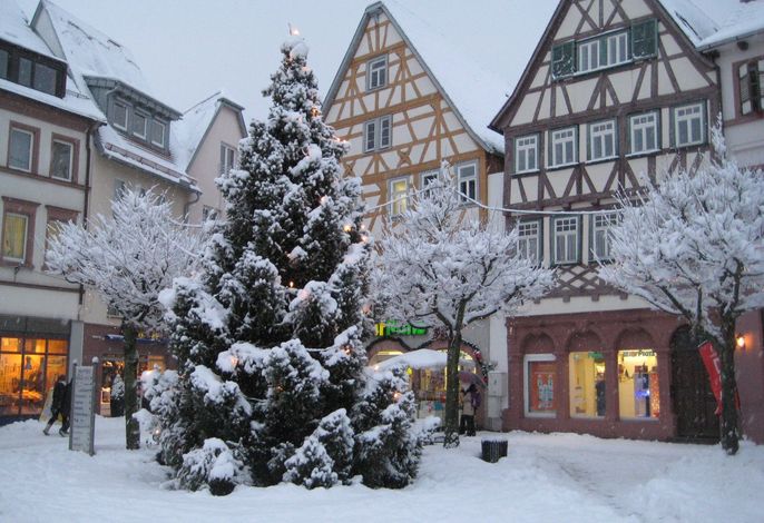 Bild 12