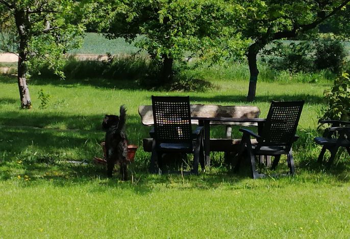 Bild 4