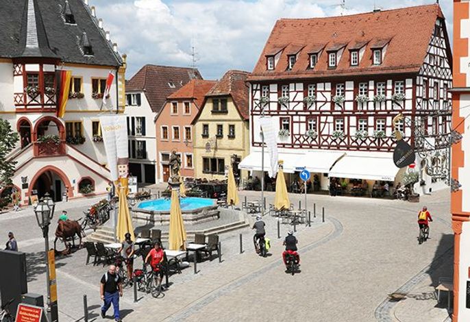 Bild 7