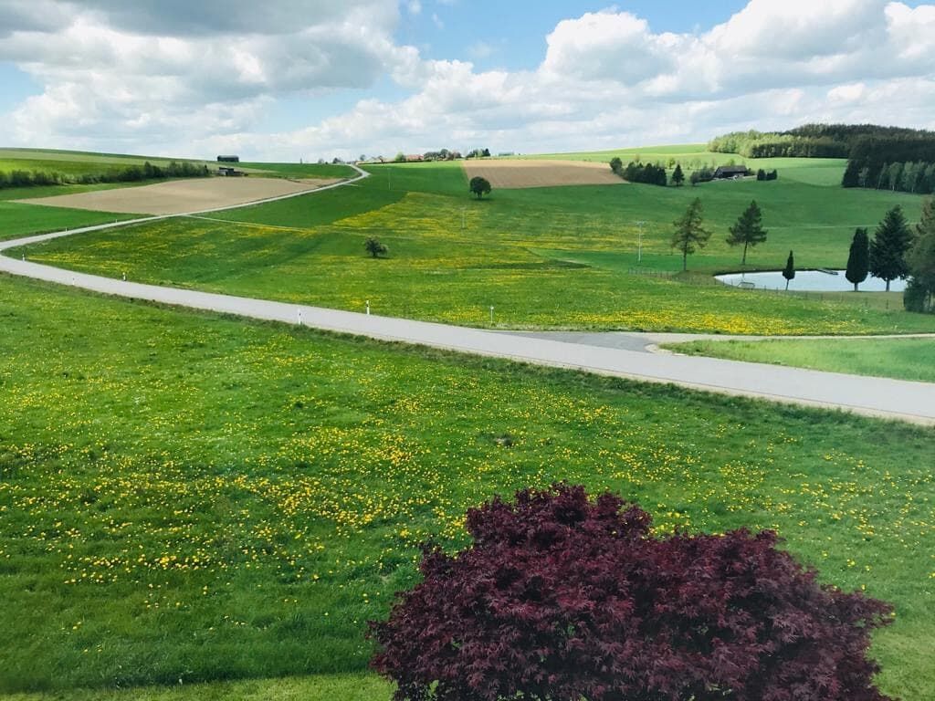 Unsere Landschaft lädt zum Wandern und Radeln ein.JPG