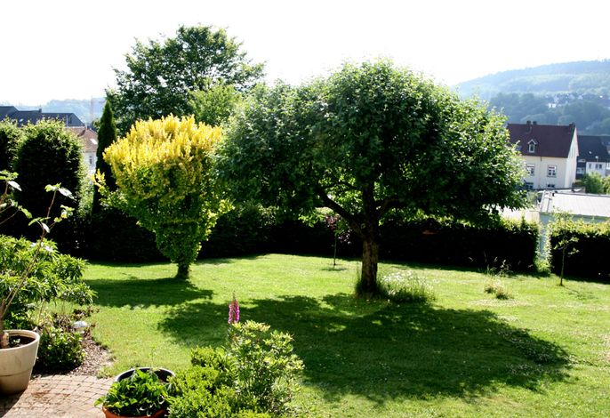 Bild 11