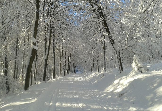 Bild 18