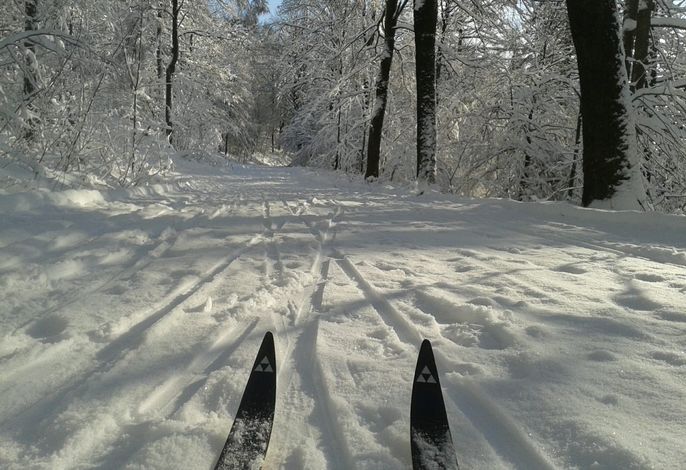 Bild 19