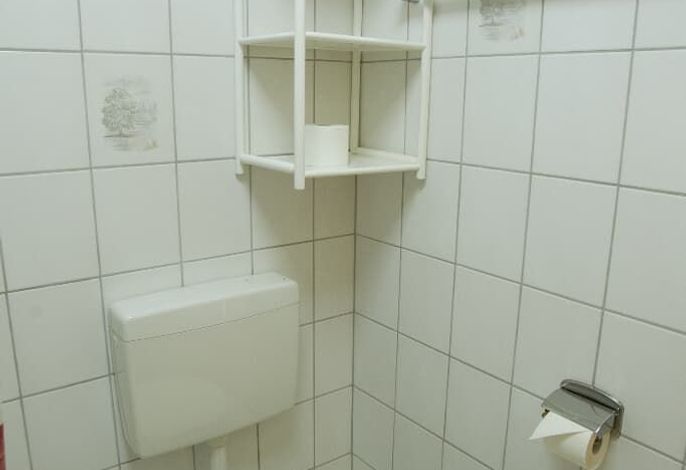 Bild 81