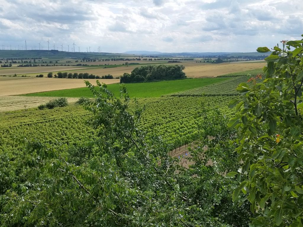 Dolgesheim Land 1