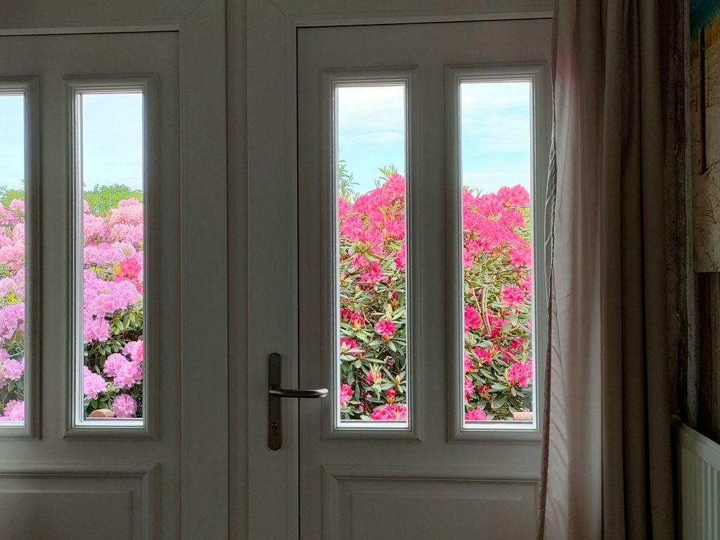 Eingang/Blick zum Balkon