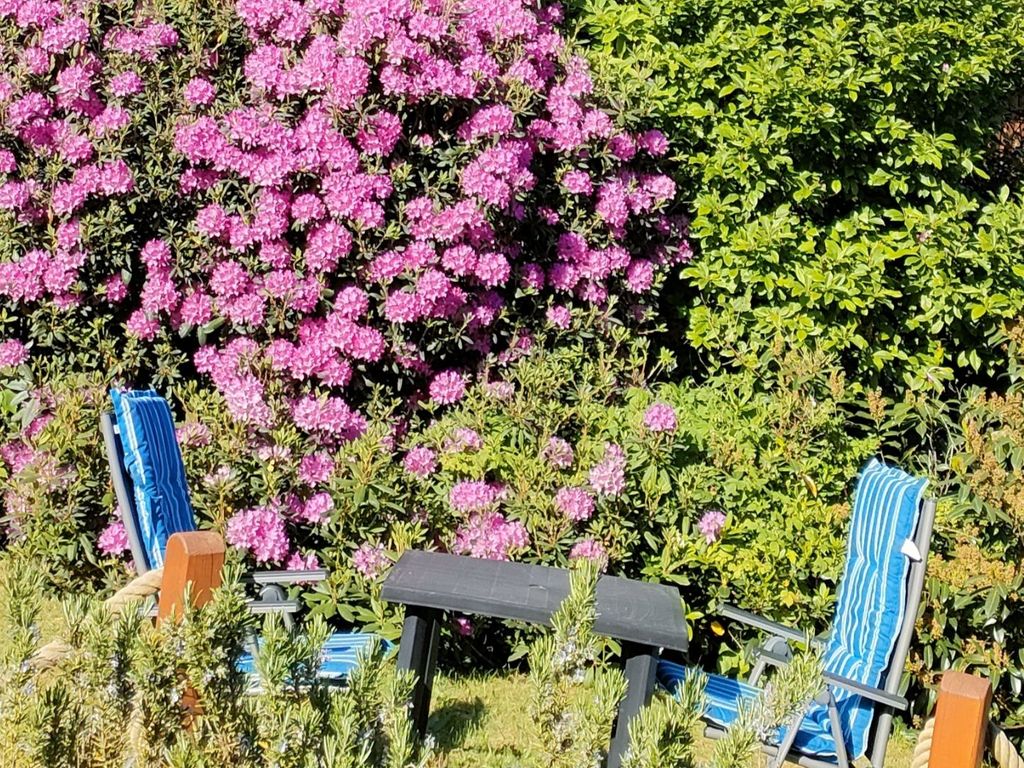 Gästegarten