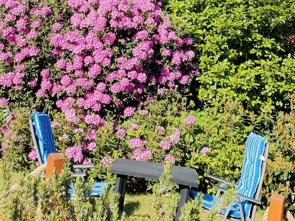 Gästegarten