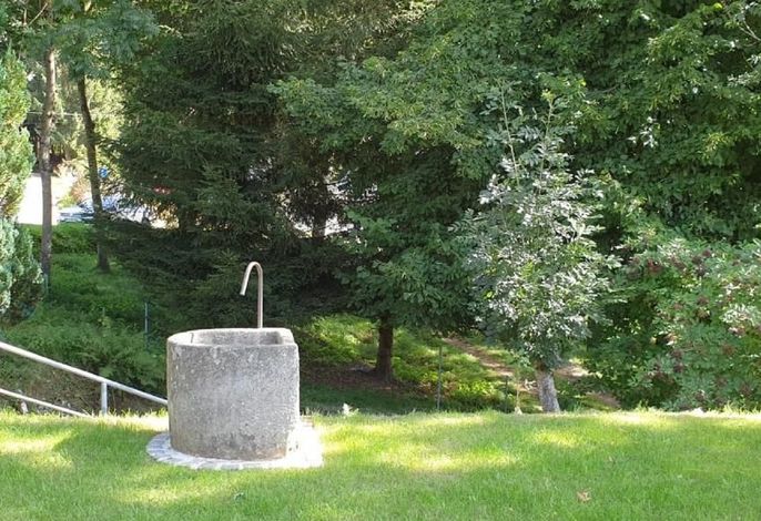 Bild 14
