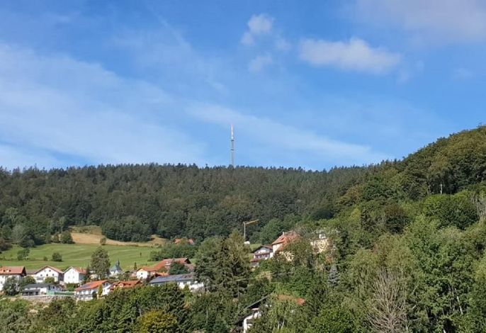 Bild 15