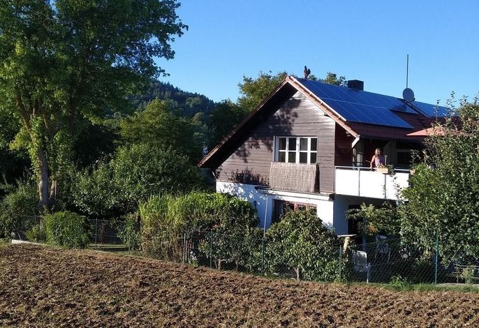 Bild 9