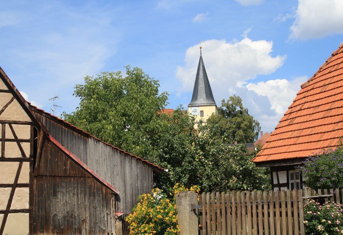 Bild 11