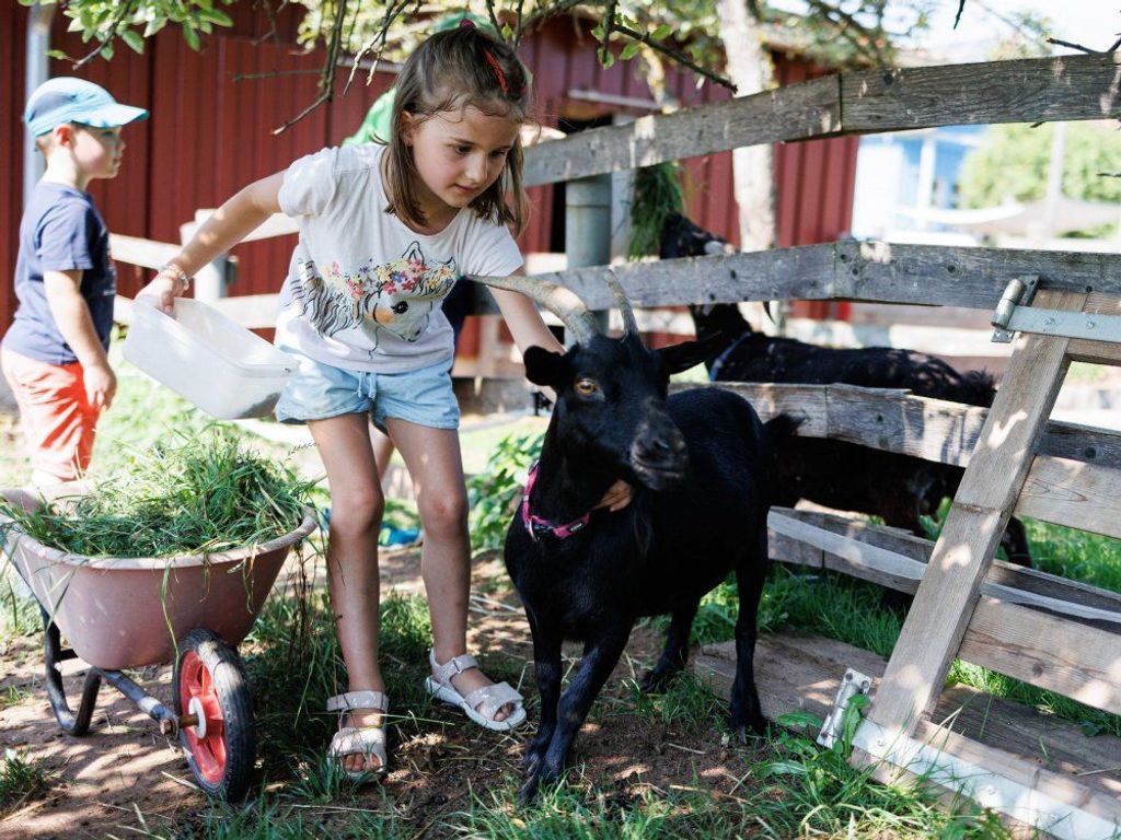 Unsere Tiere