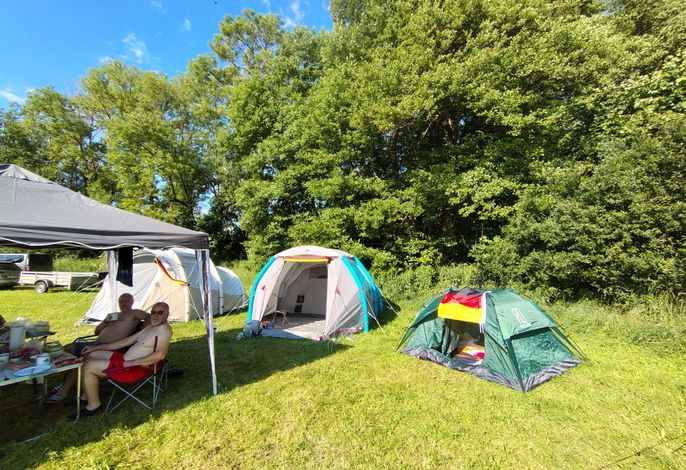 Bild 13