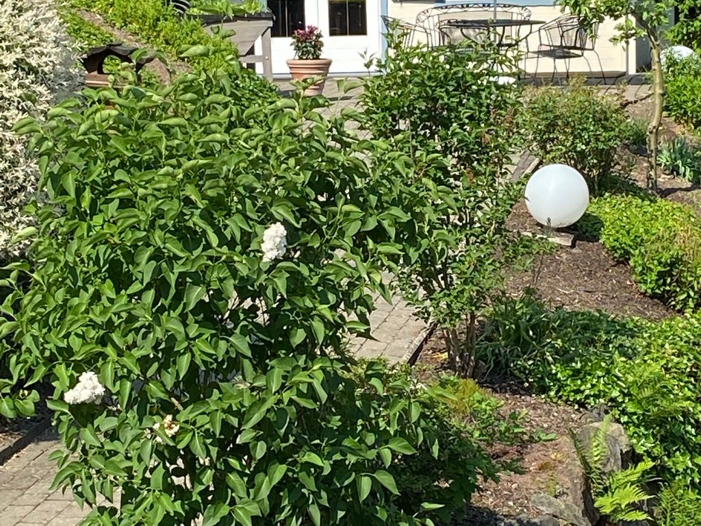 Gartenhütte