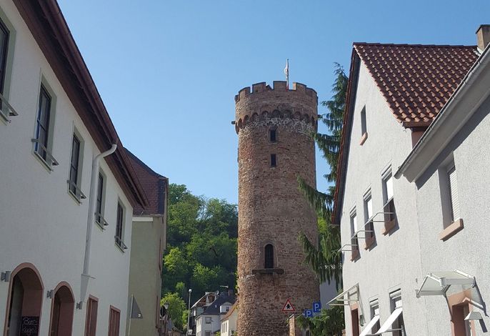 Bild 14