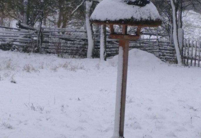 Bild 8