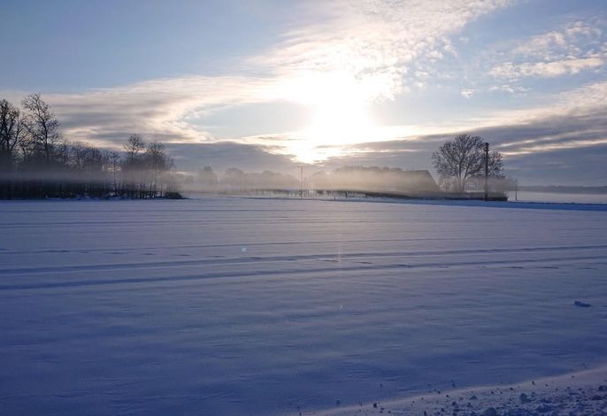 Bild 19