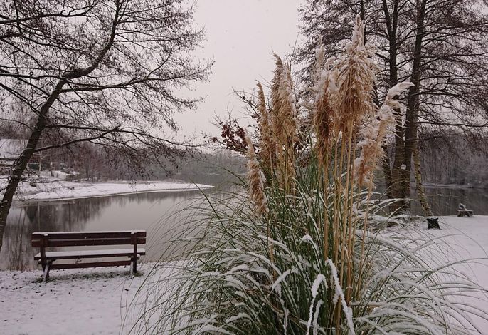 Bild 18