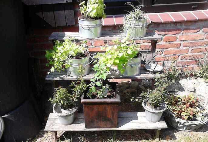 Bild 11