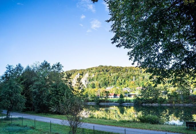 Bild 11