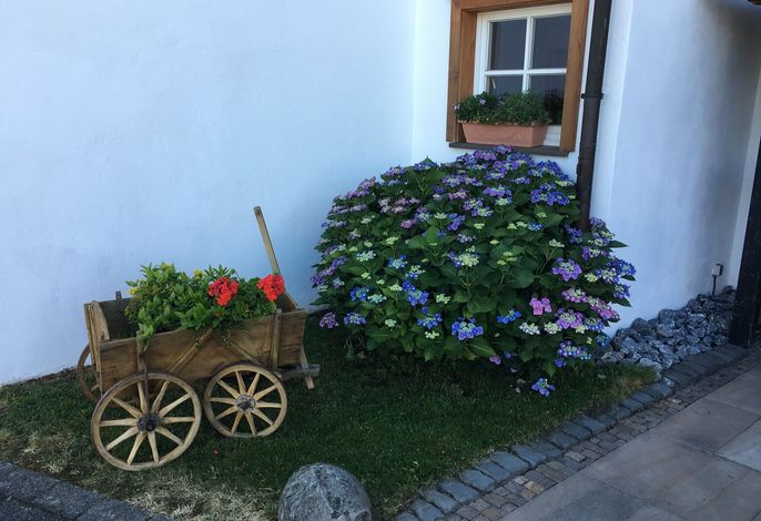 Bild 14