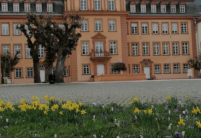 Ferienwohnung am Schloßpark – Foto 5