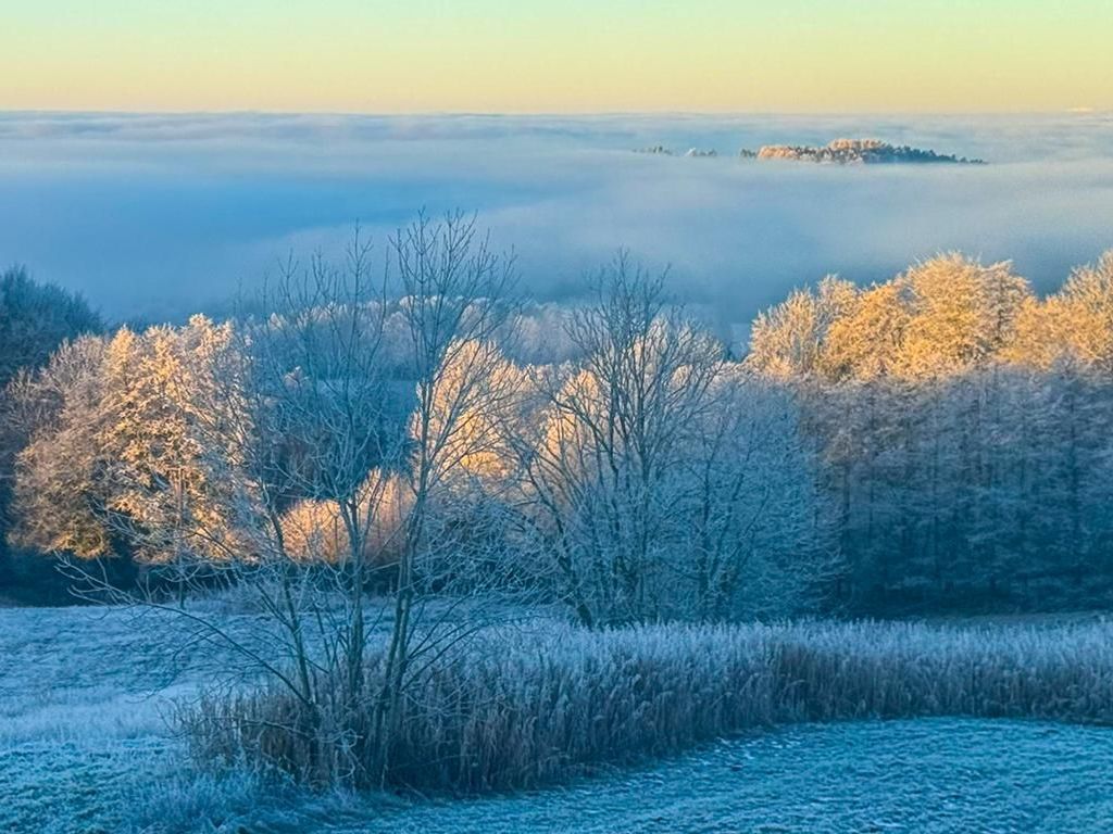 Ausblick