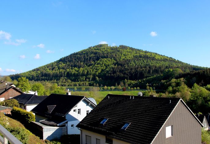 Bild 16