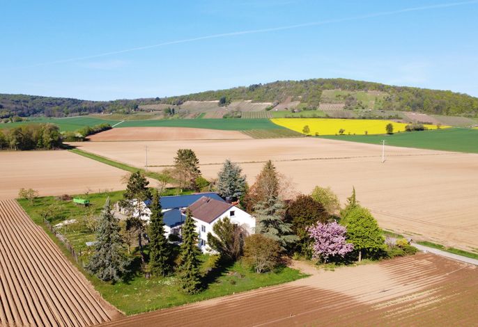 Ferienwohnungen Rosenhof