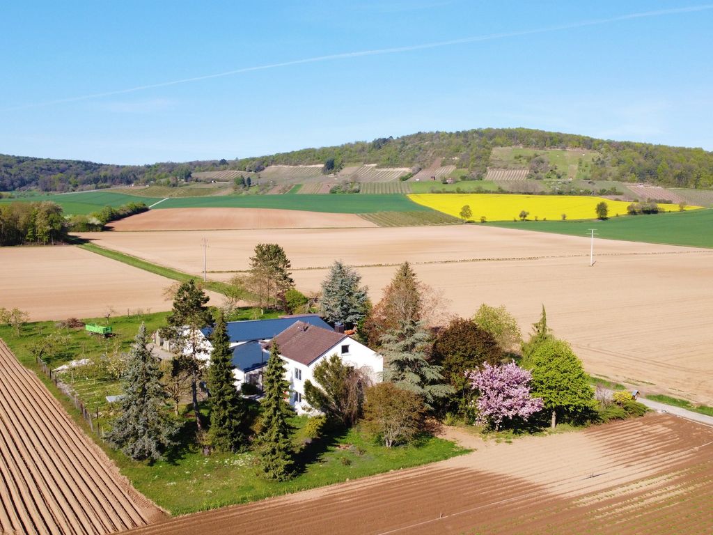 Ferienwohnungen Rosenhof