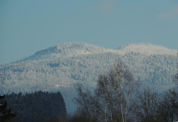 Bild 17