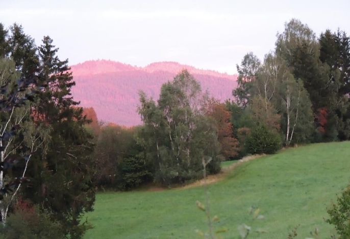 Bild 16