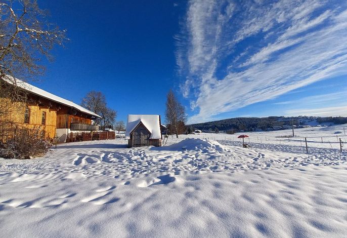 Bild 24