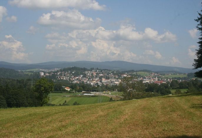 Bild 7