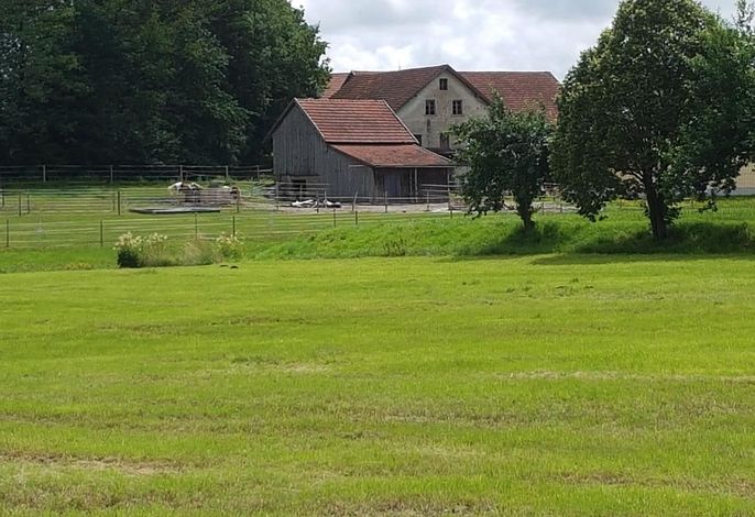 Bild 7