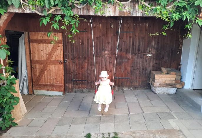 Bild 11