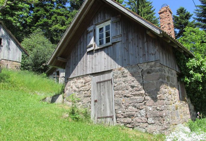Bild 7