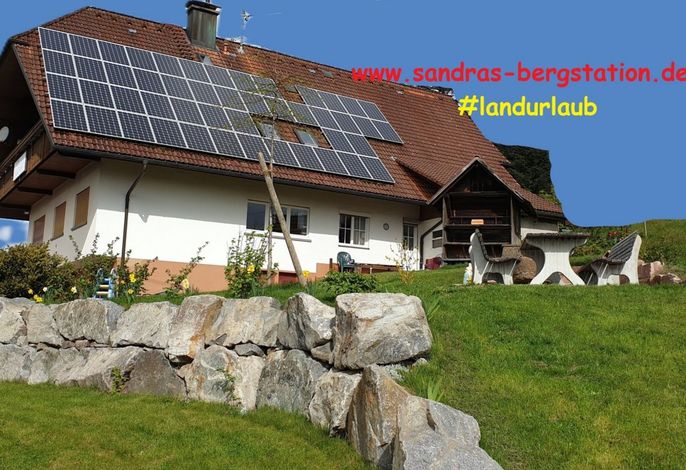 Bild 2